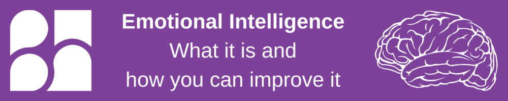 Emotional Intelligence - Bradley Haynes Law Article